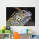 Green Iguana Wall Mural