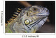 Green Iguana Wall Mural