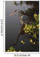 Great Blue Heron Wall Mural