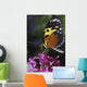 Tiger Longwing Butterfly Wall Mural