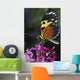 Tiger Longwing Butterfly Wall Mural