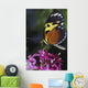 Tiger Longwing Butterfly Wall Mural