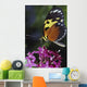 Tiger Longwing Butterfly Wall Mural