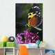 Tiger Longwing Butterfly Wall Mural
