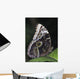 Blue Morpho Butterfly Wall Mural