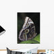 Blue Morpho Butterfly Wall Mural