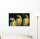 Three Parrots Wall Mural