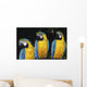 Three Parrots Wall Mural