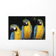 Three Parrots Wall Mural
