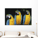 Three Parrots Wall Mural
