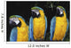 Three Parrots Wall Mural