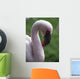 Lesser Flamingo Wall Mural