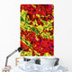 Multicolored Abstract Wall Mural
