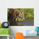 Tiger Standing In Water Wall Mural