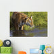 Tiger Standing In Water Wall Mural