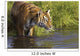 Tiger Standing In Water Wall Mural