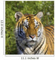 Tigress Wall Mural