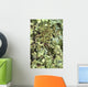 Camouflaged Vietnamese Mossy Tree Frog Wall Mural