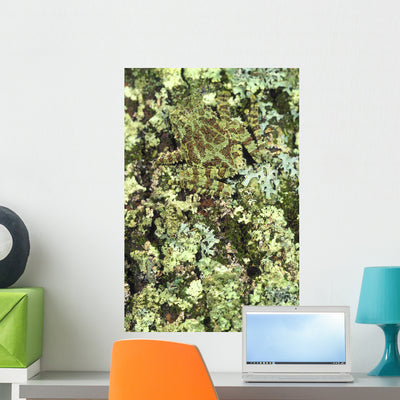 Camouflaged Vietnamese Mossy Tree Wall Mural shown on a wall