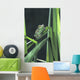 Painted Monkey Frog In Reeds Wall Mural