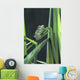 Painted Monkey Frog In Reeds Wall Mural