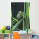 Painted Monkey Frog In Reeds Wall Mural