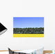 Canola Field And Trees Wall Mural
