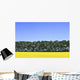 Canola Field And Trees Wall Mural