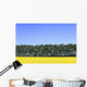 Canola Field And Trees Wall Mural