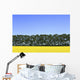 Canola Field And Trees Wall Mural