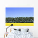 Canola Field And Trees Wall Mural