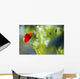 Red Poppy Wall Mural