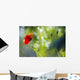 Red Poppy Wall Mural