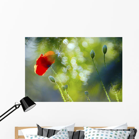 Red Poppy Wall Mural
