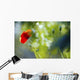 Red Poppy Wall Mural