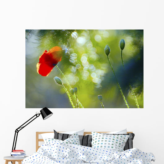 Red Poppy Wall Mural