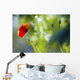 Red Poppy Wall Mural