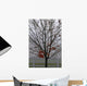 Maple Tree In Autumn Wall Mural