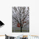 Maple Tree In Autumn Wall Mural