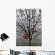 Maple Tree In Autumn Wall Mural