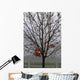 Maple Tree In Autumn Wall Mural