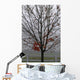 Maple Tree In Autumn Wall Mural