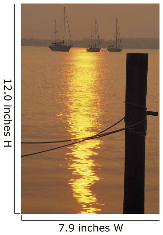 Sailboats At Sunset Wall Mural