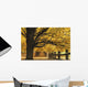 Trees In Autumn Wall Mural