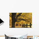 Trees In Autumn Wall Mural