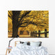 Trees In Autumn Wall Mural