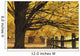 Trees In Autumn Wall Mural