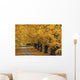 Trees In Autumn Wall Mural