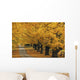 Trees In Autumn Wall Mural