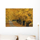 Trees In Autumn Wall Mural